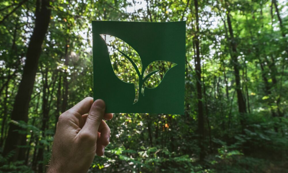 Sustainable Travel: How to Be an Eco-Friendly Traveler